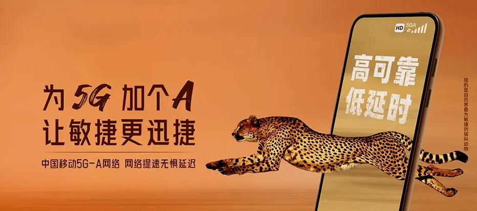 顺平县顺平县台鱼乡 移动宽带
